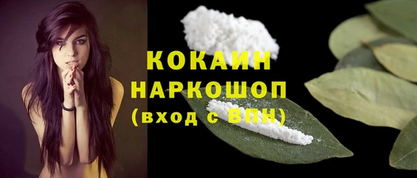 шишки Лихославль