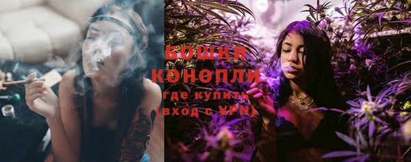 шишки Лихославль