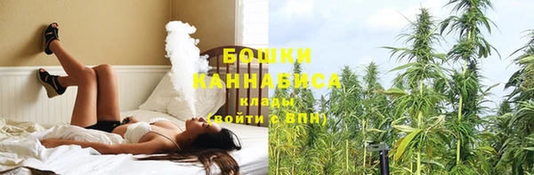 шишки Лихославль