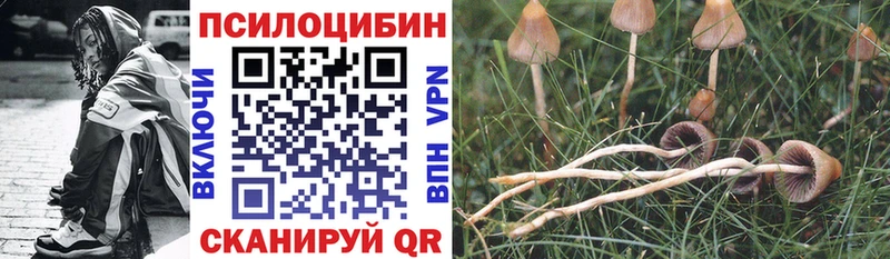 Галлюциногенные грибы Psilocybine cubensis  нарко площадка наркотические препараты  Шебекино  наркошоп 